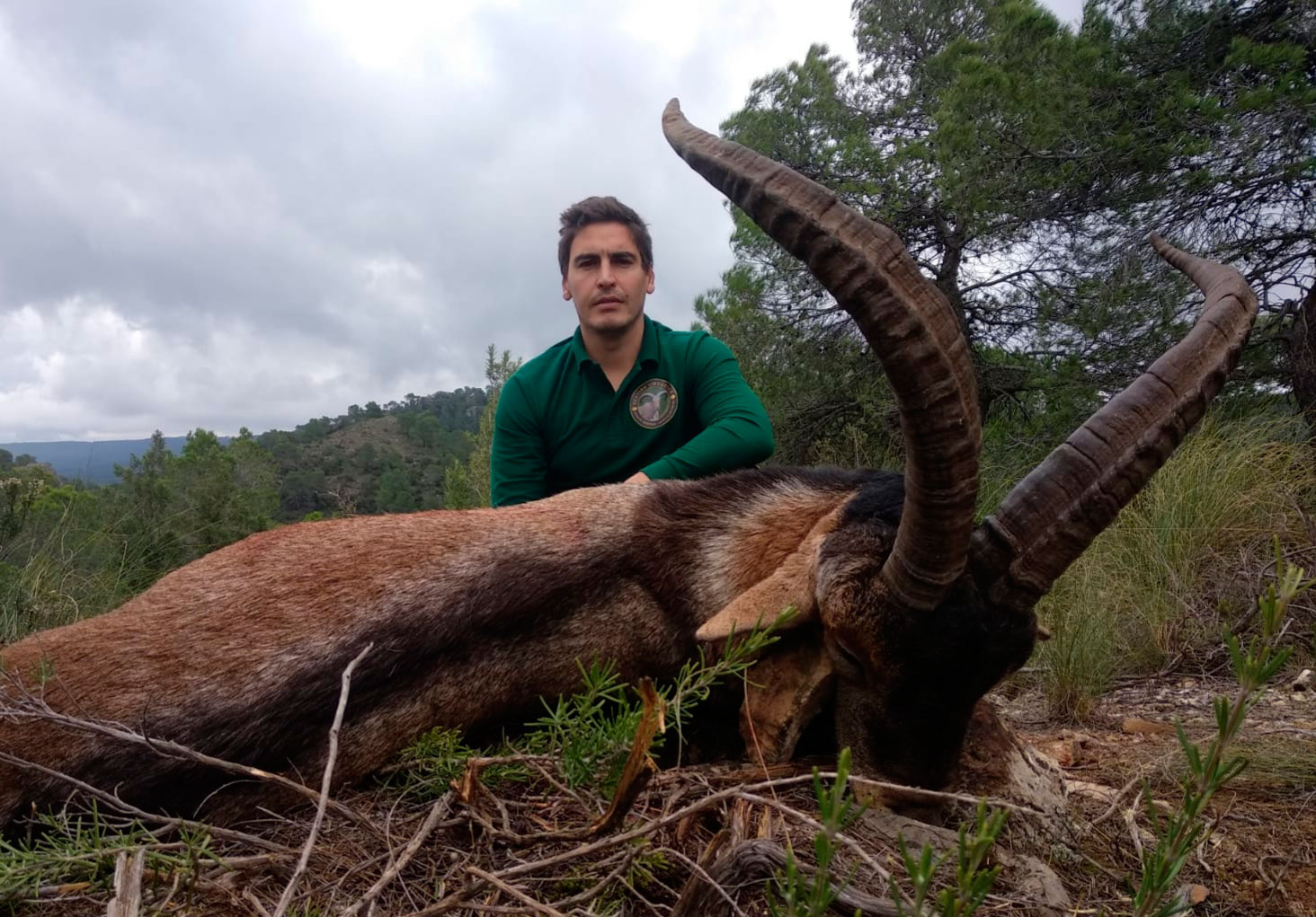 Gescin Hunting caza mayor en España