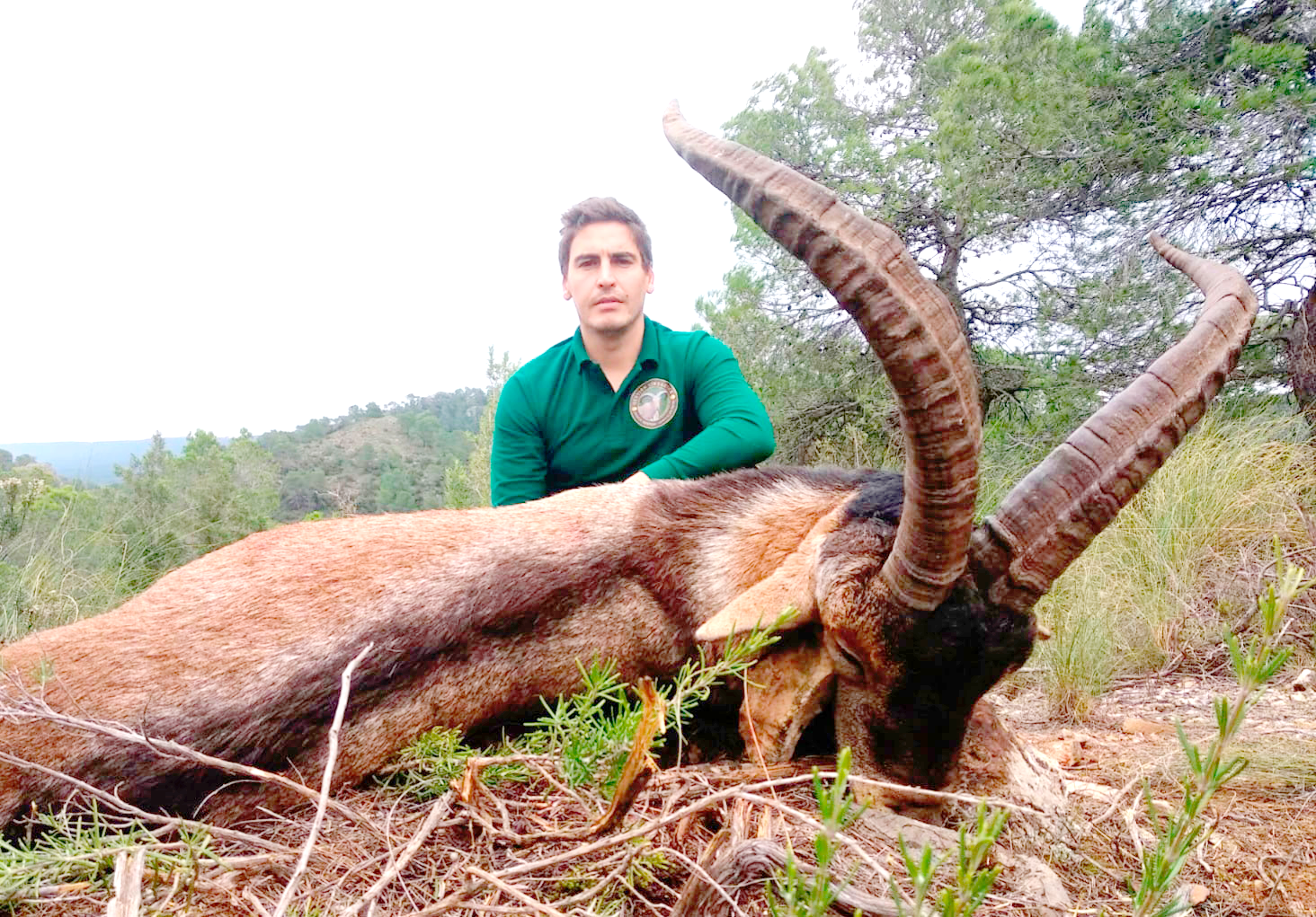Gescin La mejor Caza Mayor en España Gescin La mejor Caza Mayor en España