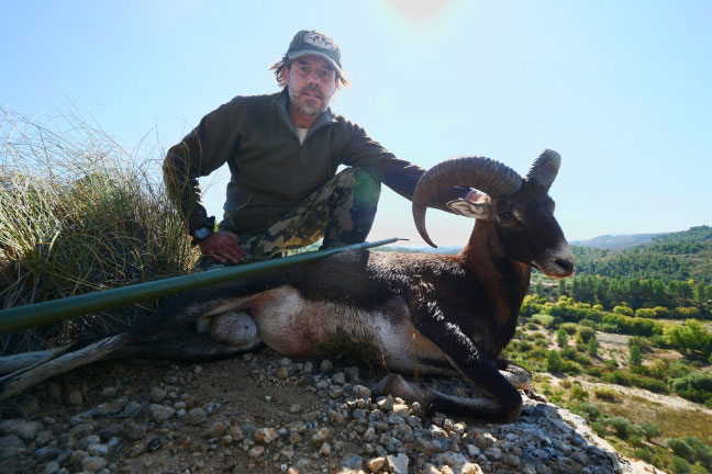 Gescin Hunting Caza mayor en España Rececho de Muflon
