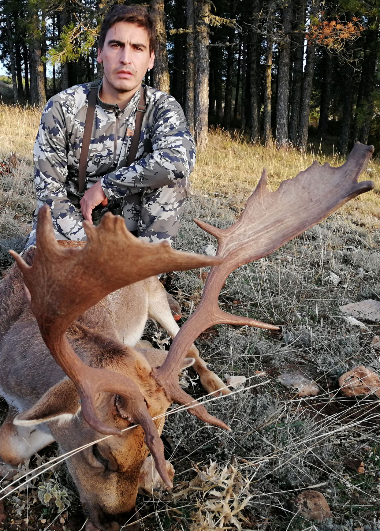 Gescin Hunting Caza Mayor en España 11-20 Recechos de gamos 03