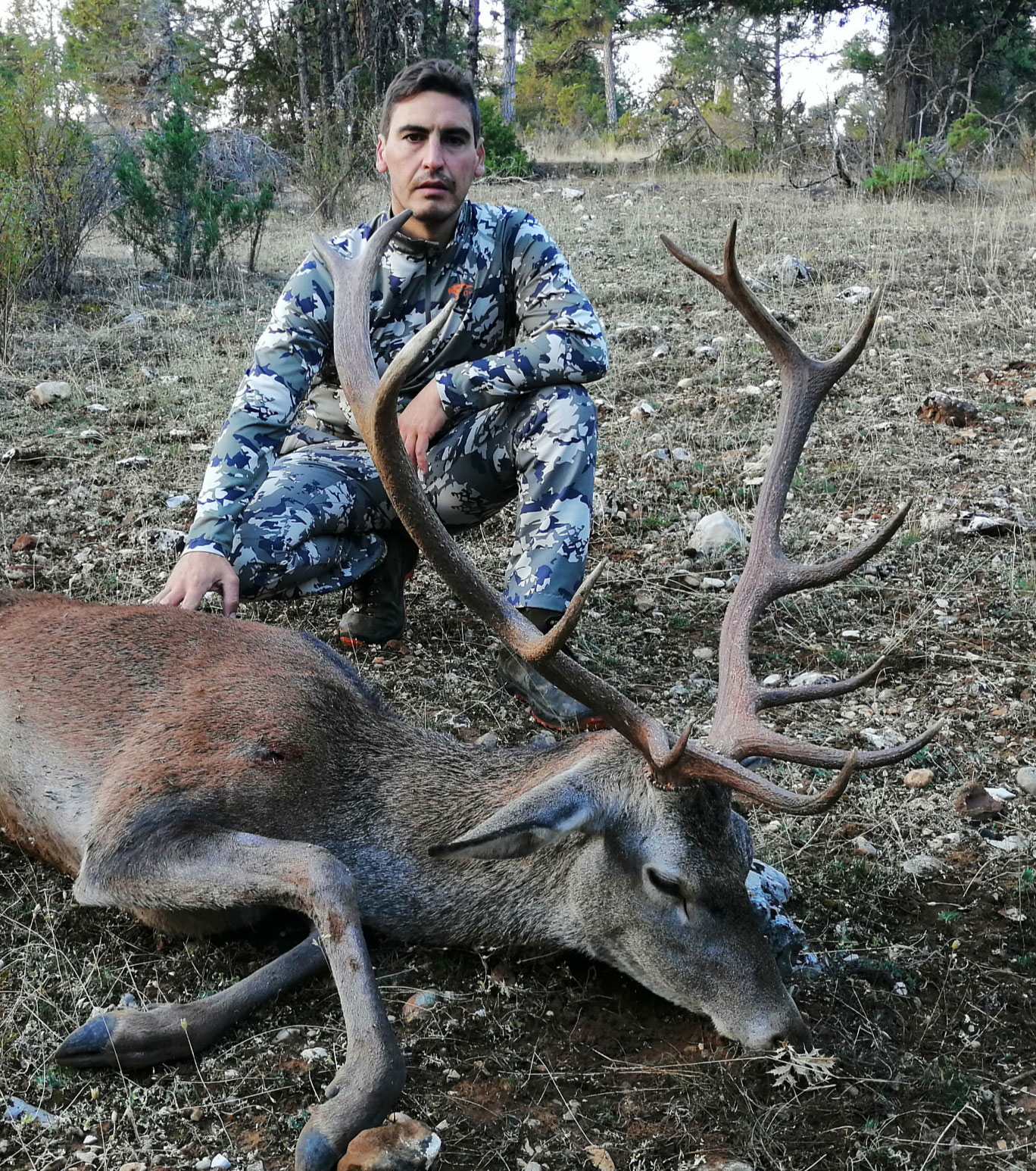 Gescin Hunting Caza Mayor en España 11-20 rececho de ciervo 05