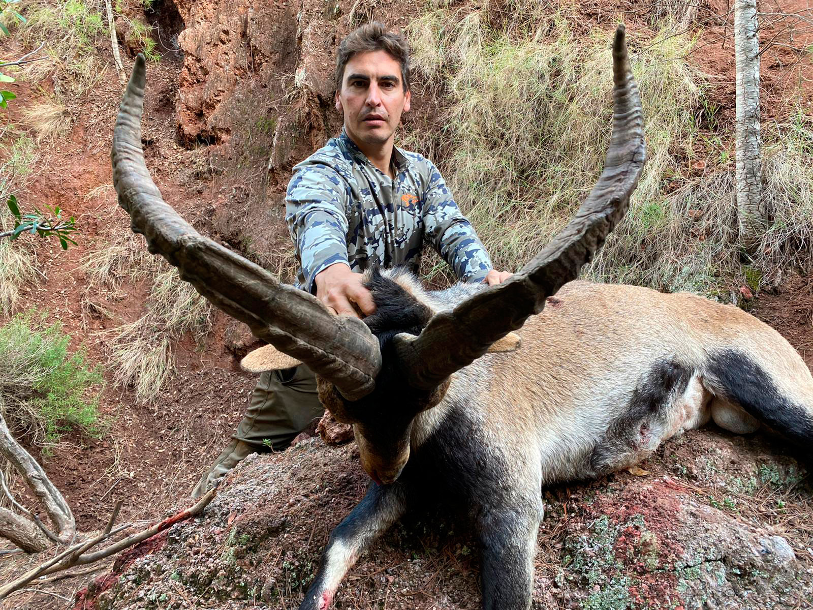 Gescin Hunting Caza Mayor en España Rececho de Macho Montes 11-20 01