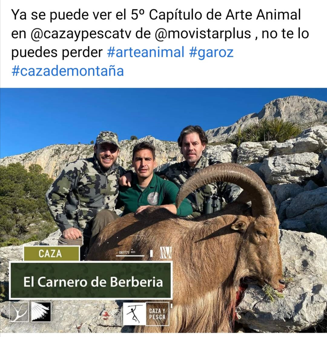 Gescin Chasse au petit gibier en Espagne Chasse et Pêche TV